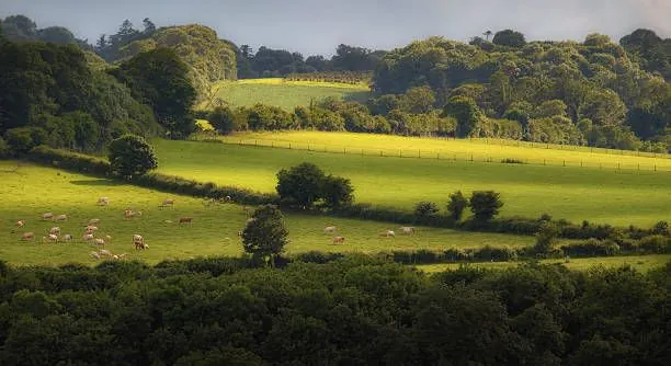 County Meath landscape for a Boyne Valley private chauffeur tour